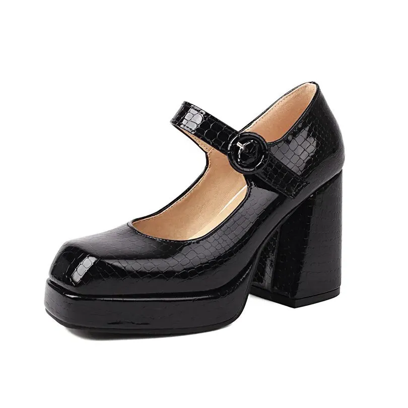 Funki Buys | Shoes | Women's Glossy High Mary Jane Platforms