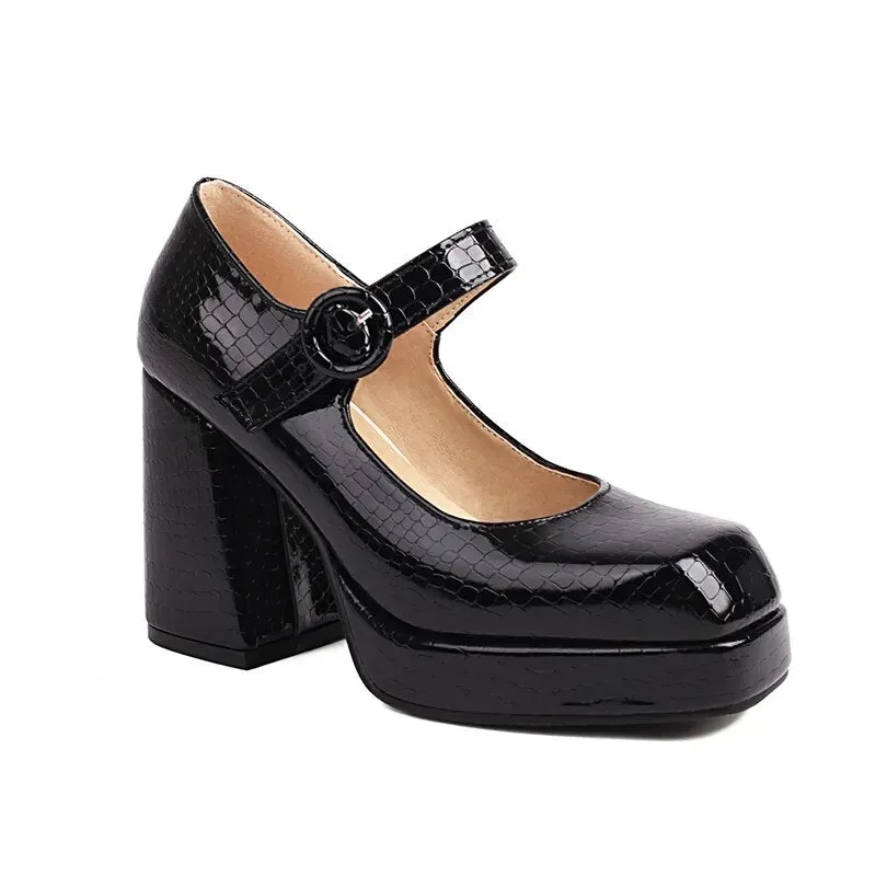 Funki Buys | Shoes | Women's Glossy High Mary Jane Platforms