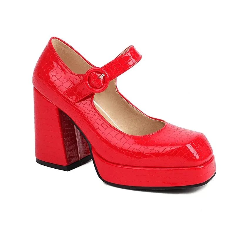 Funki Buys | Shoes | Women's Glossy High Mary Jane Platforms