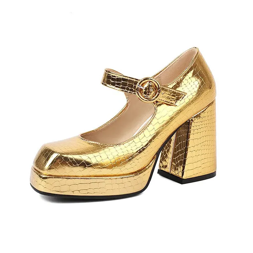 Funki Buys | Shoes | Women's Glossy High Mary Jane Platforms