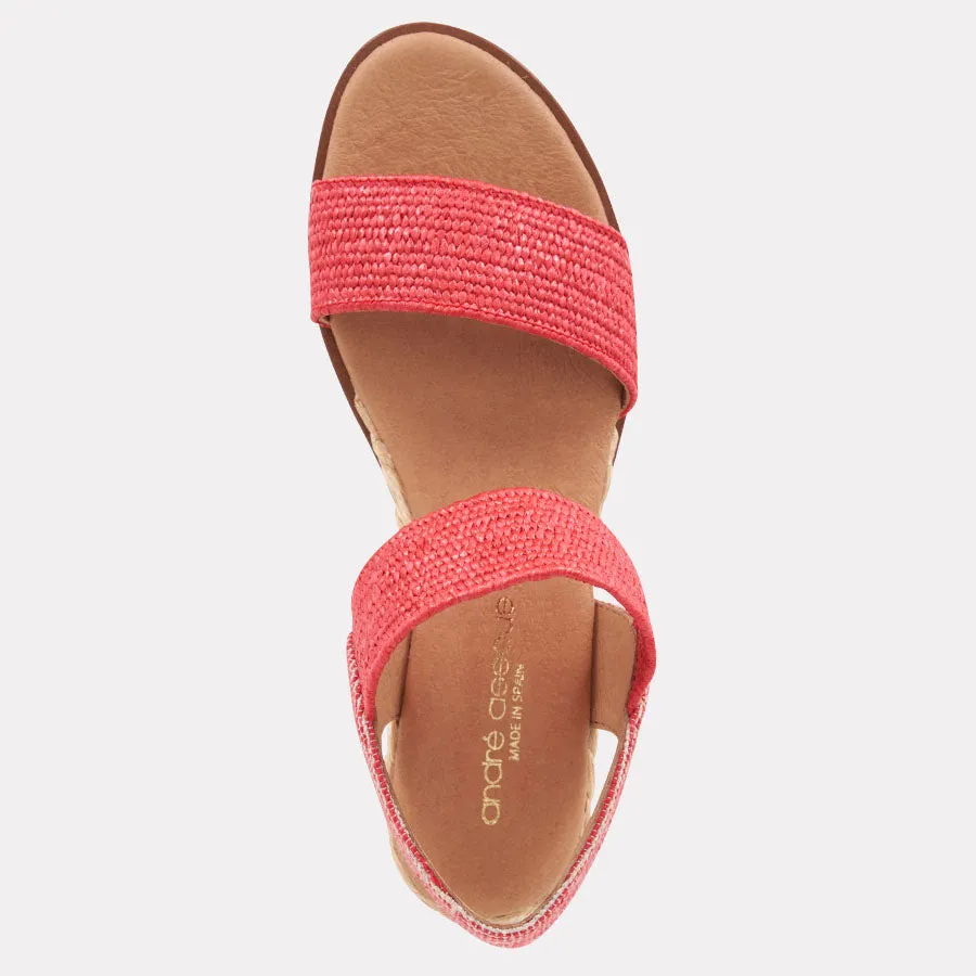Neveah Stretch Raffia Wedge